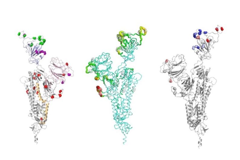 omnicron vaccins